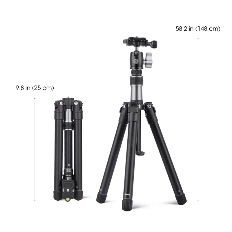 ArtMate - Handgefertigtes Walnuss-Kunstset (Meister-Edition)